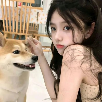 鲨鱼争霸战